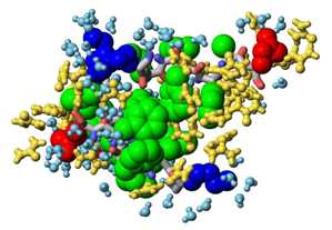 Solvated structure of Alzheimer's Abeta oligomer obtained by computer simulations